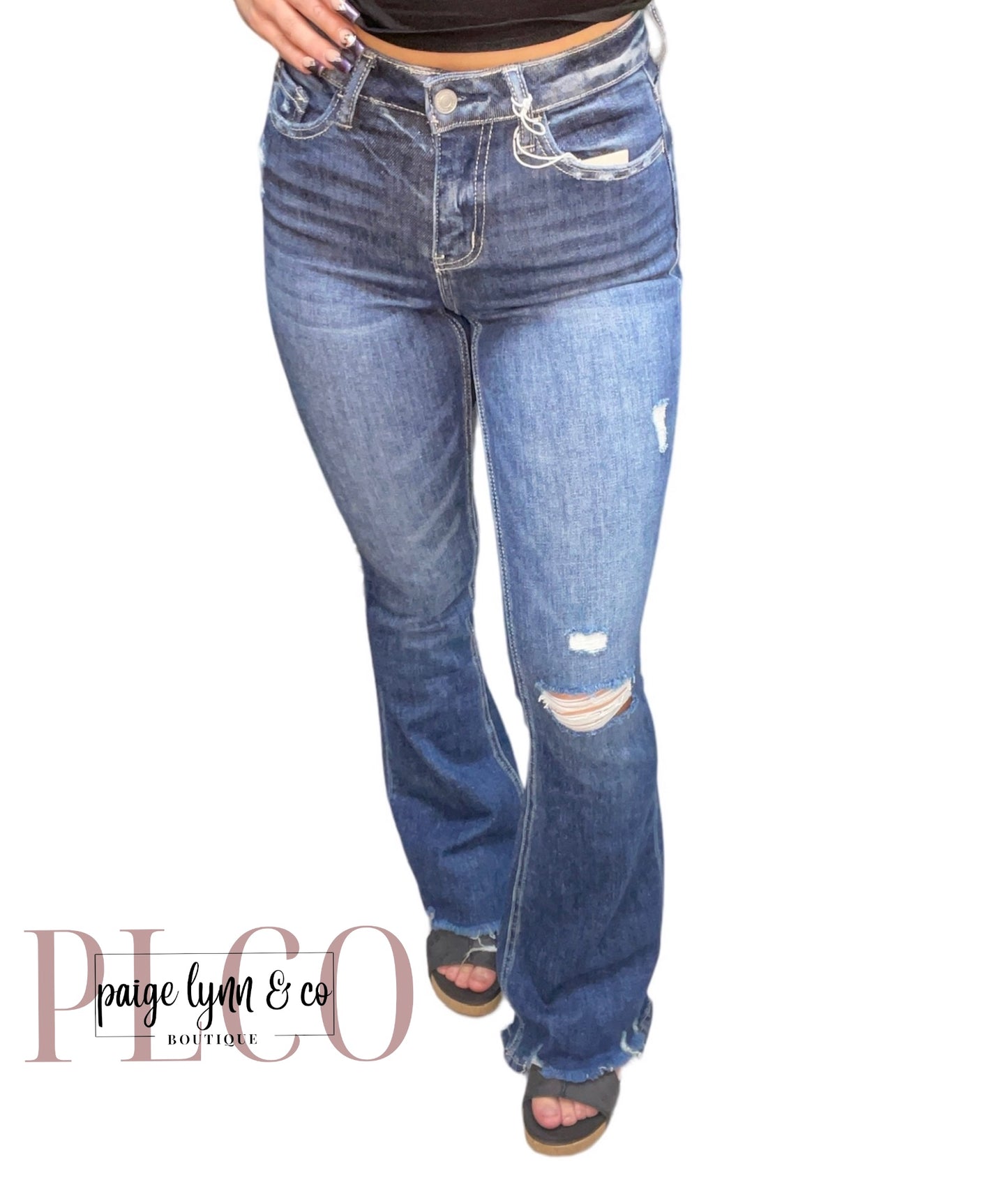 Dazzle Vervet High Rise Flare Jeans