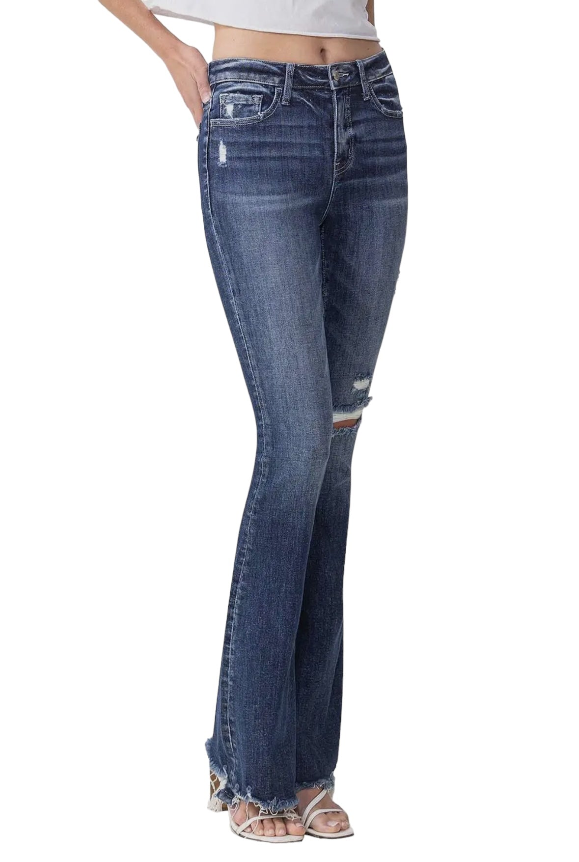 Dazzle Vervet High Rise Flare Jeans