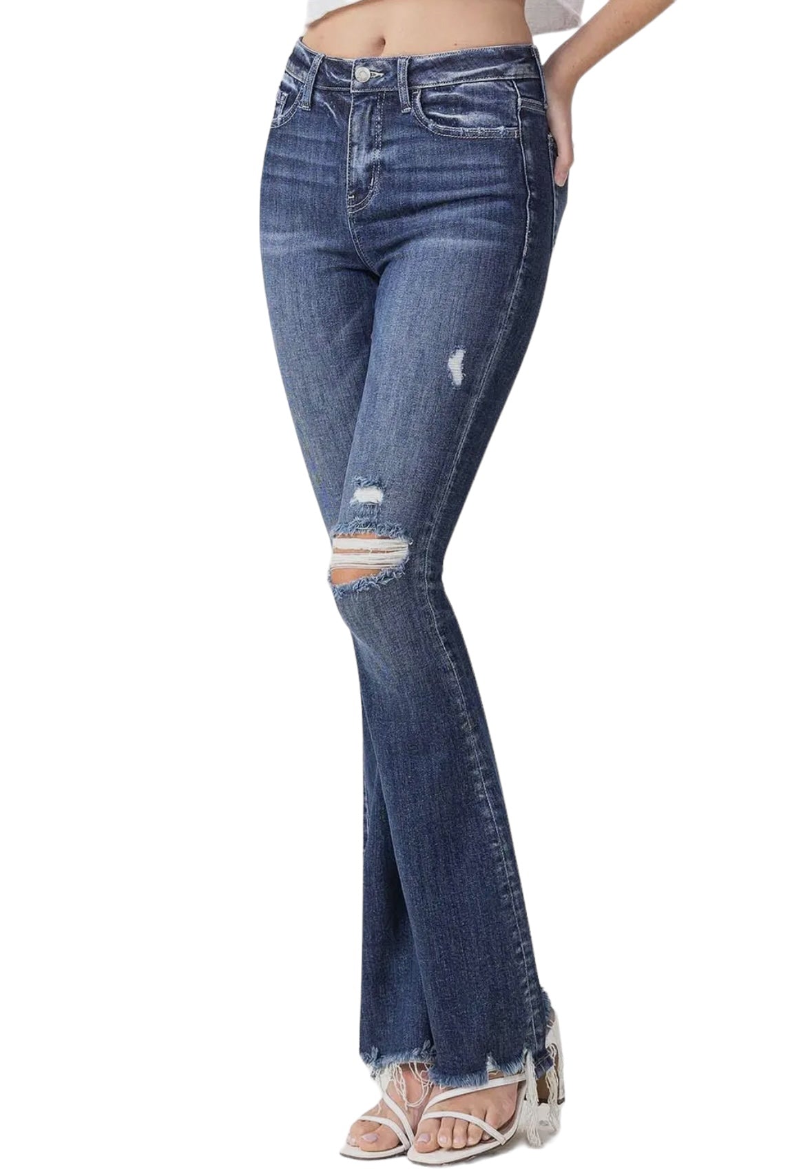 Dazzle Vervet High Rise Flare Jeans